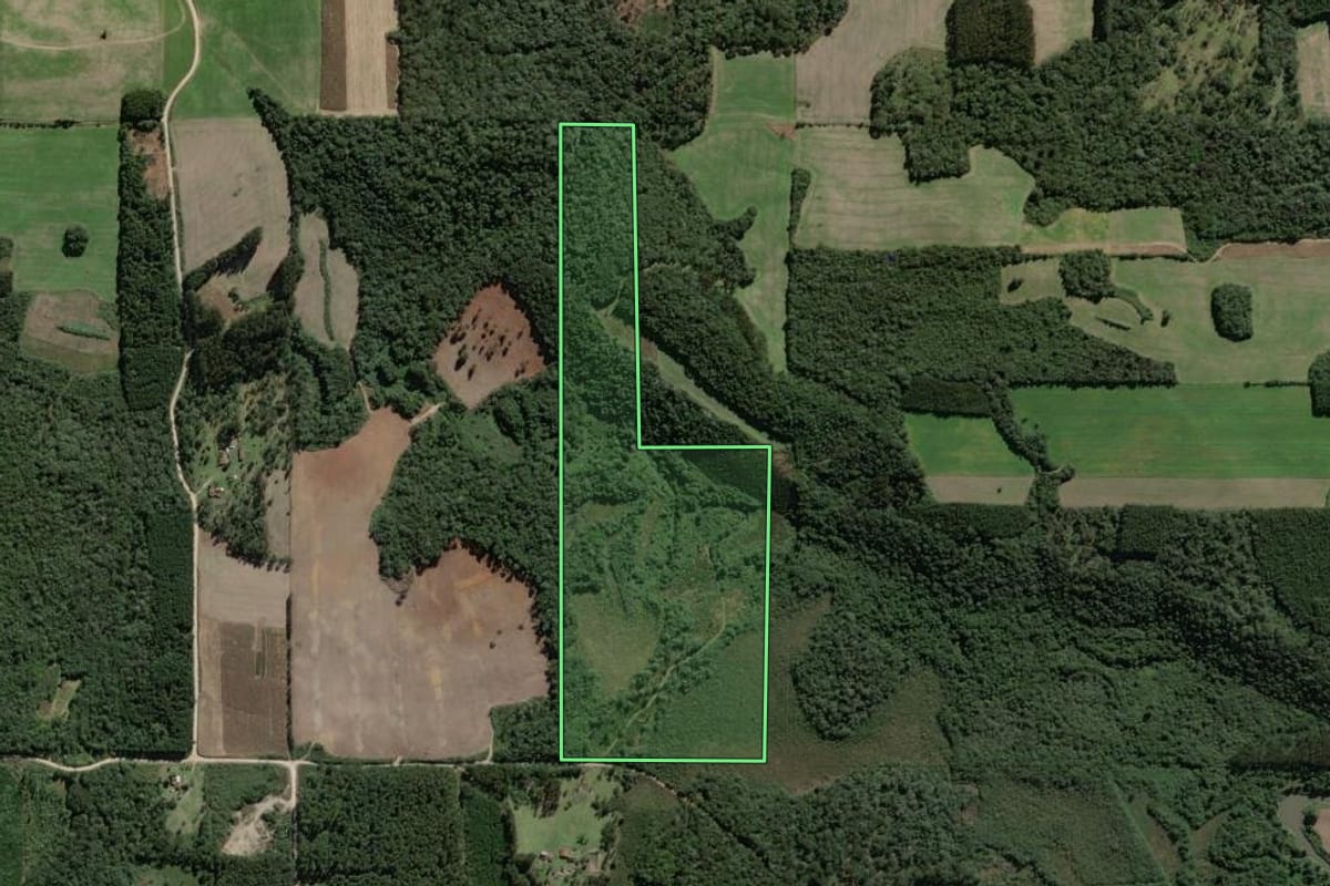 Imagem de satélite do imóvel rural em Mallet (PR), com o contorno declarado no CAR desenhado por cima.