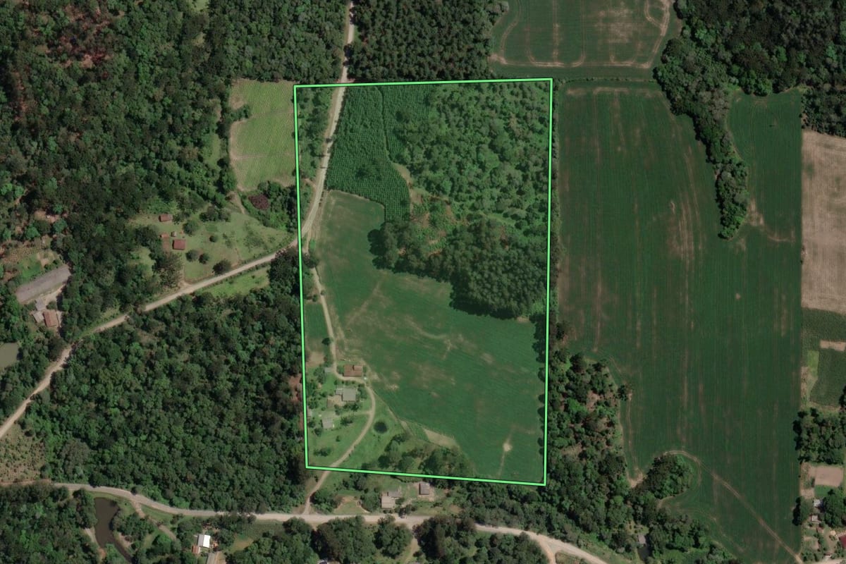 Imagem de satélite do imóvel rural em Mallet (PR), com o contorno declarado no CAR desenhado por cima.