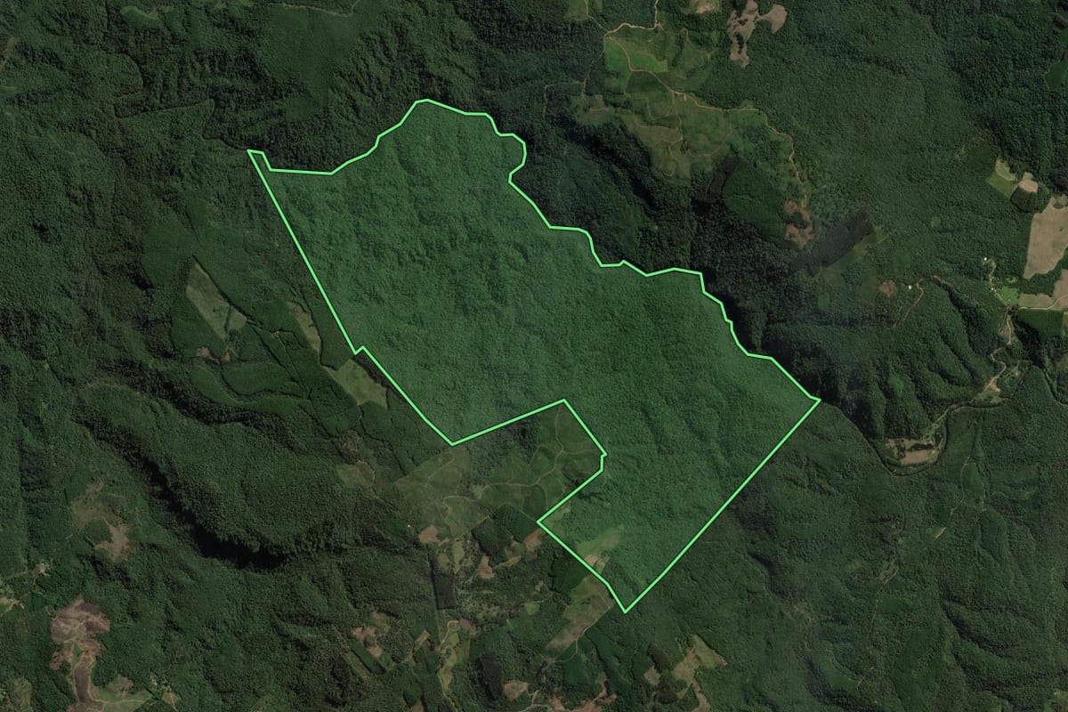 Imagem de satélite do imóvel rural em Mallet (PR), com o contorno declarado no CAR desenhado por cima.