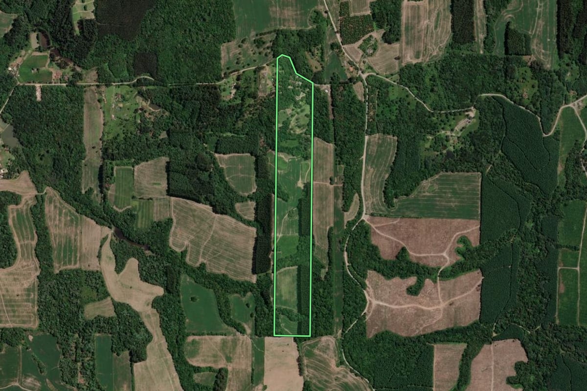 Imagem de satélite do imóvel rural em Mallet (PR), com o contorno declarado no CAR desenhado por cima.