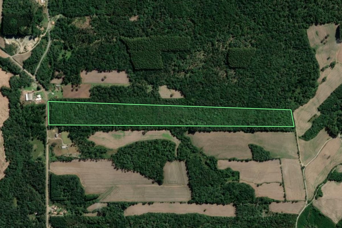 Imagem de satélite do imóvel rural em Mallet (PR), com o contorno declarado no CAR desenhado por cima.