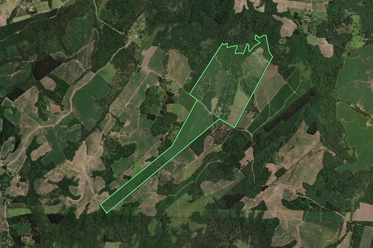 Imagem de satélite do imóvel rural em Mallet (PR), com o contorno declarado no CAR desenhado por cima.