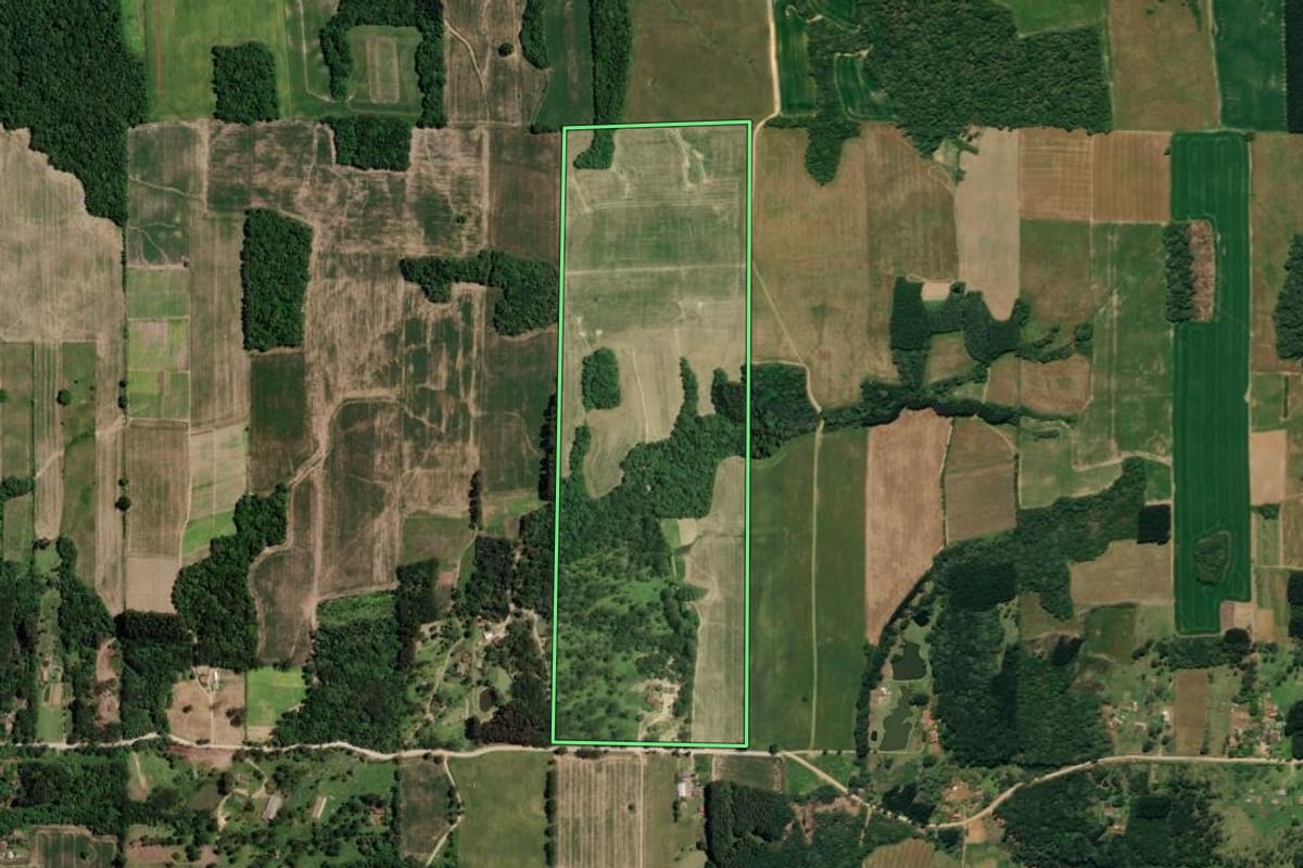 Imagem de satélite do imóvel rural em Mallet (PR), com o contorno declarado no CAR desenhado por cima.