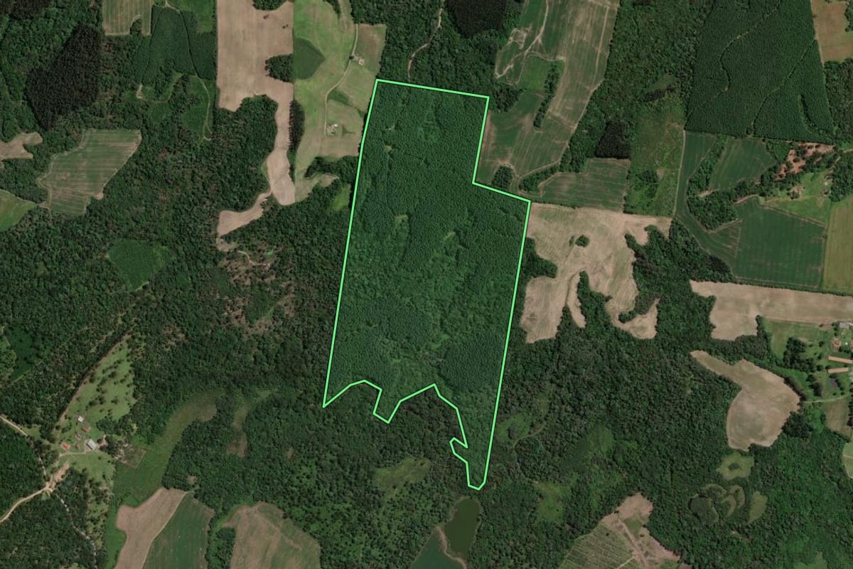 Imagem de satélite do imóvel rural em Mallet (PR), com o contorno declarado no CAR desenhado por cima.