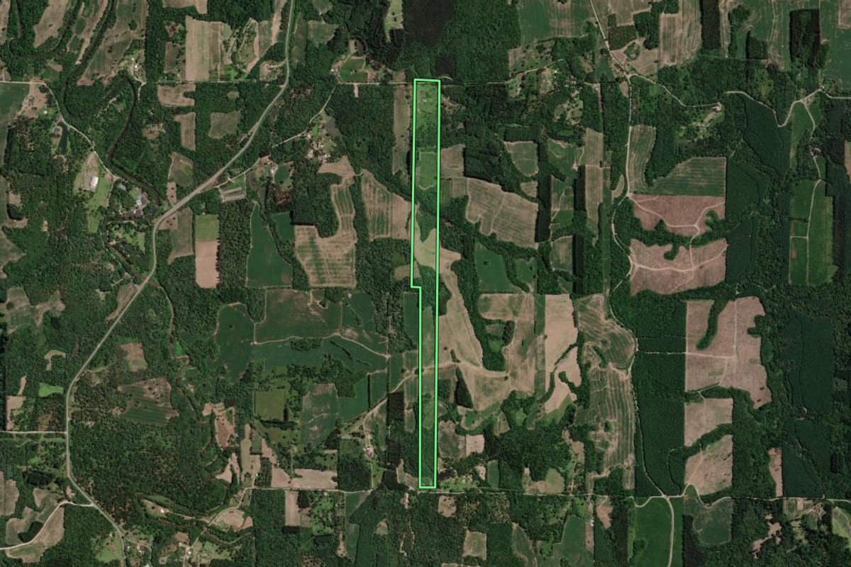 Imagem de satélite do imóvel rural em Mallet (PR), com o contorno declarado no CAR desenhado por cima.