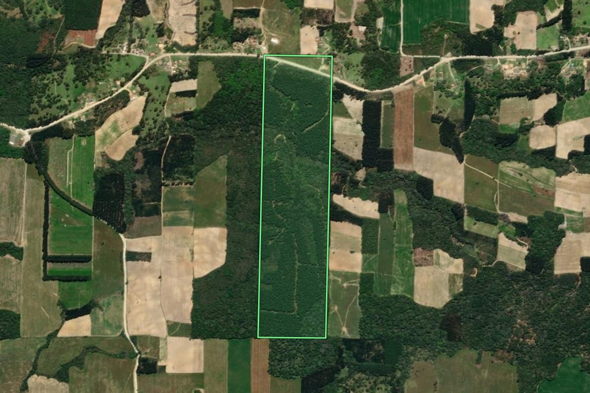 Imagem de satélite do imóvel rural em Mallet (PR), com o contorno declarado no CAR desenhado por cima.