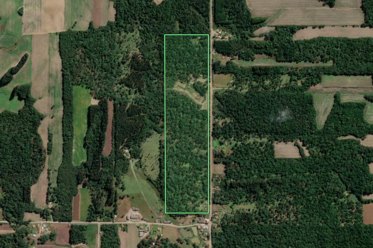Imagem de satélite do imóvel rural em Mallet (PR), com o contorno declarado no CAR desenhado por cima.