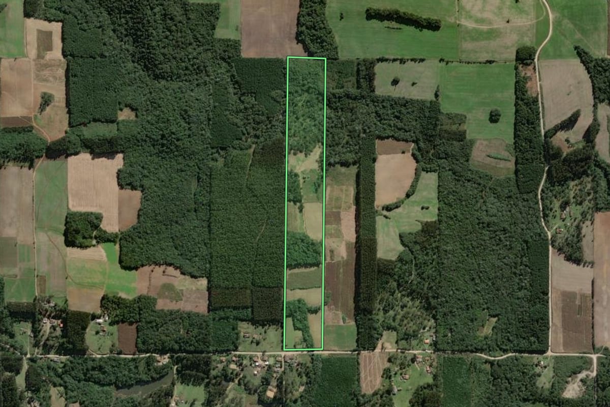 Imagem de satélite do imóvel rural em Mallet (PR), com o contorno declarado no CAR desenhado por cima.