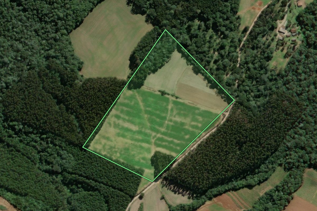 Imagem de satélite do imóvel rural em Mallet (PR), com o contorno declarado no CAR desenhado por cima.