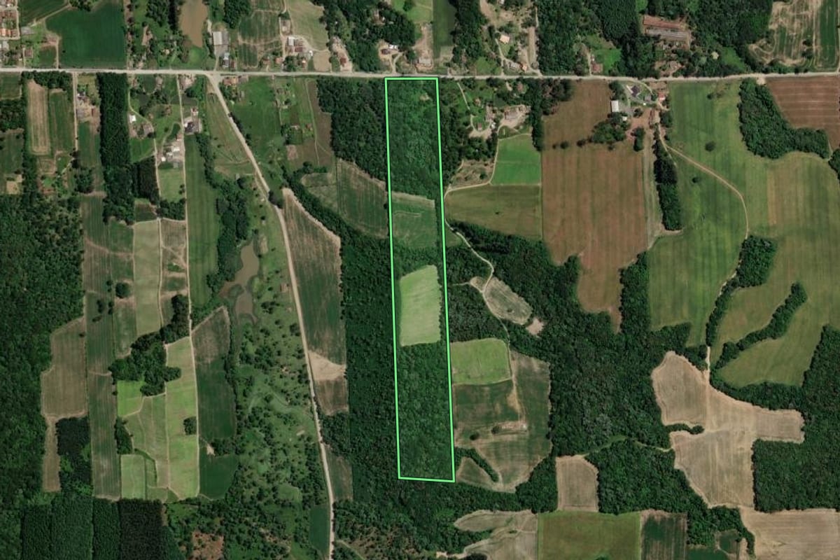Imagem de satélite do imóvel rural em Mallet (PR), com o contorno declarado no CAR desenhado por cima.