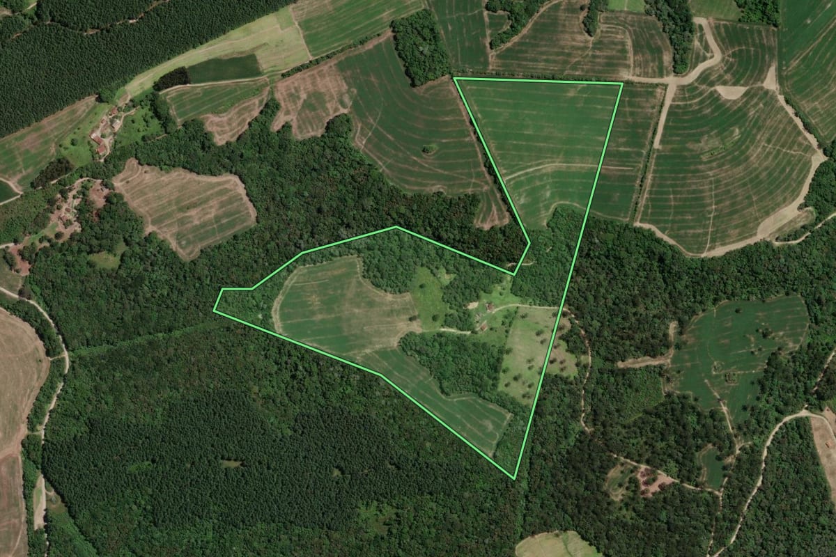 Imagem de satélite do imóvel rural em Mallet (PR), com o contorno declarado no CAR desenhado por cima.