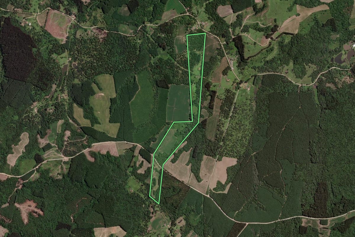 Imagem de satélite do imóvel rural em Mallet (PR), com o contorno declarado no CAR desenhado por cima.