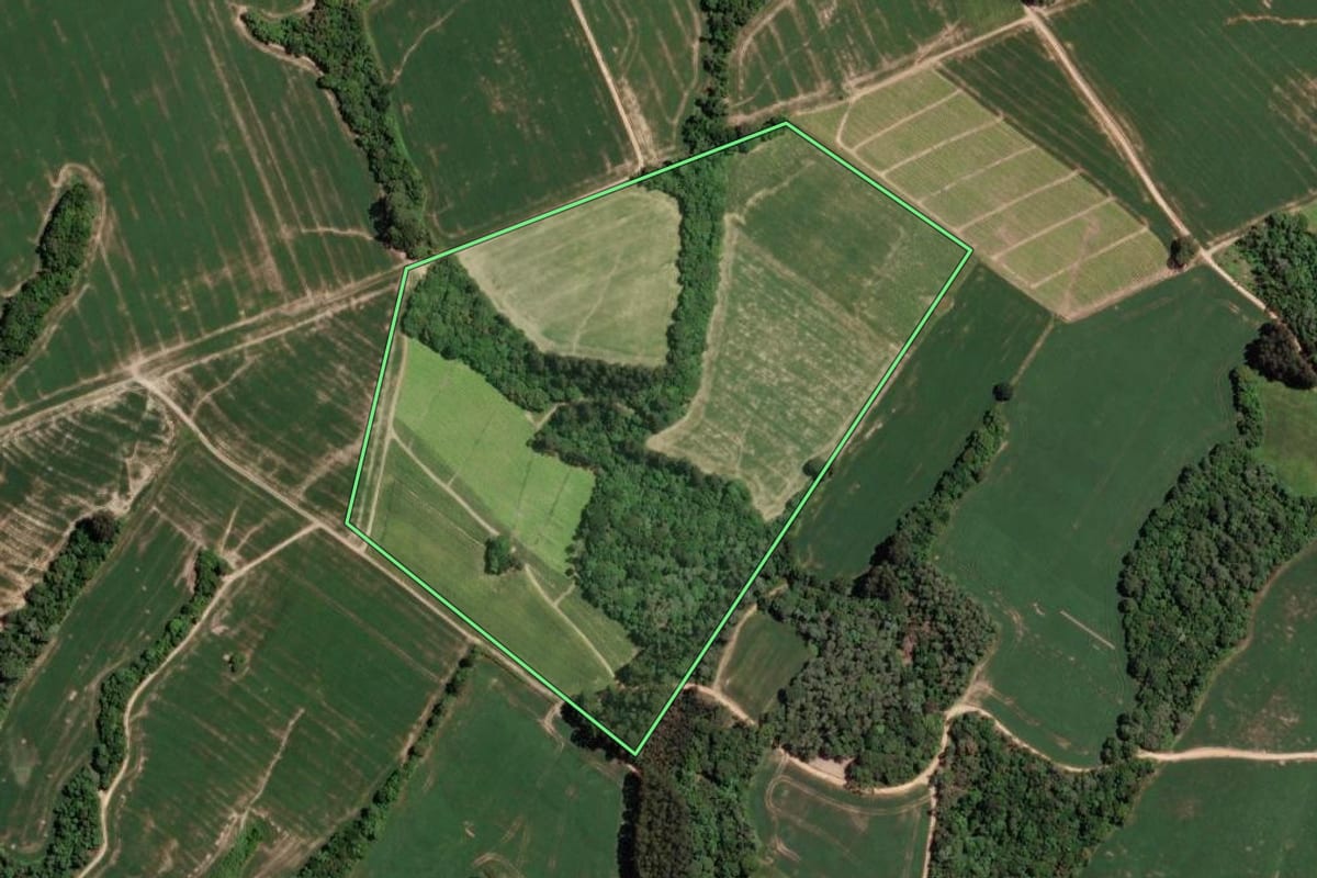 Imagem de satélite do imóvel rural em Mallet (PR), com o contorno declarado no CAR desenhado por cima.