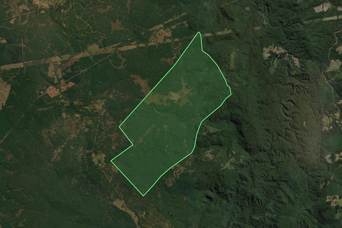 Imagem de satélite do imóvel rural em Mallet (PR), com o contorno declarado no CAR desenhado por cima.