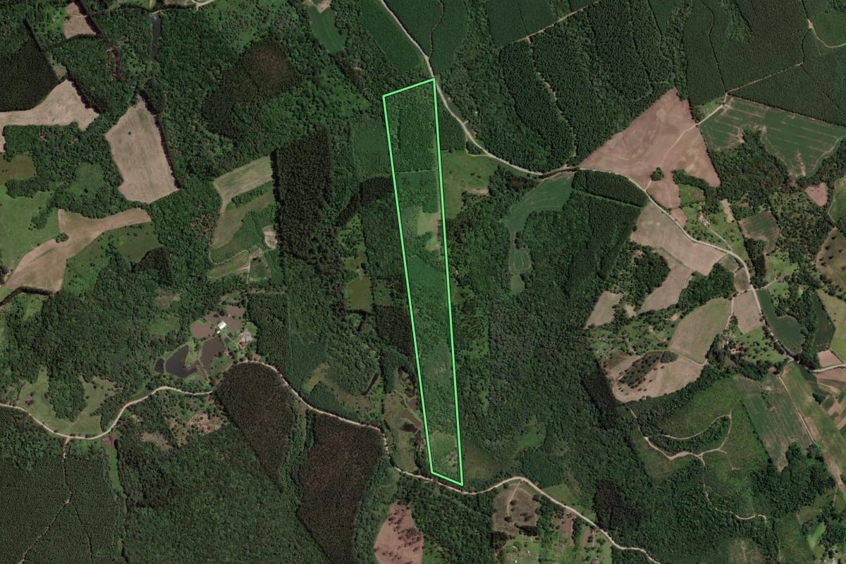 Imagem de satélite do imóvel rural em Mallet (PR), com o contorno declarado no CAR desenhado por cima.