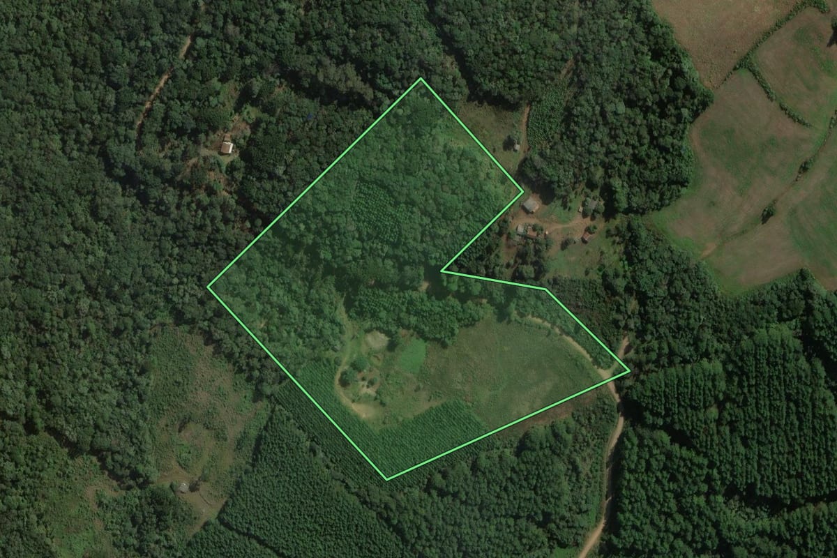 Imagem de satélite do imóvel rural em Mallet (PR), com o contorno declarado no CAR desenhado por cima.