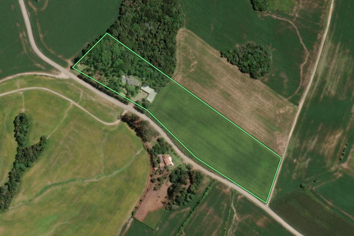Imagem de satélite do imóvel rural em Mallet (PR), com o contorno declarado no CAR desenhado por cima.