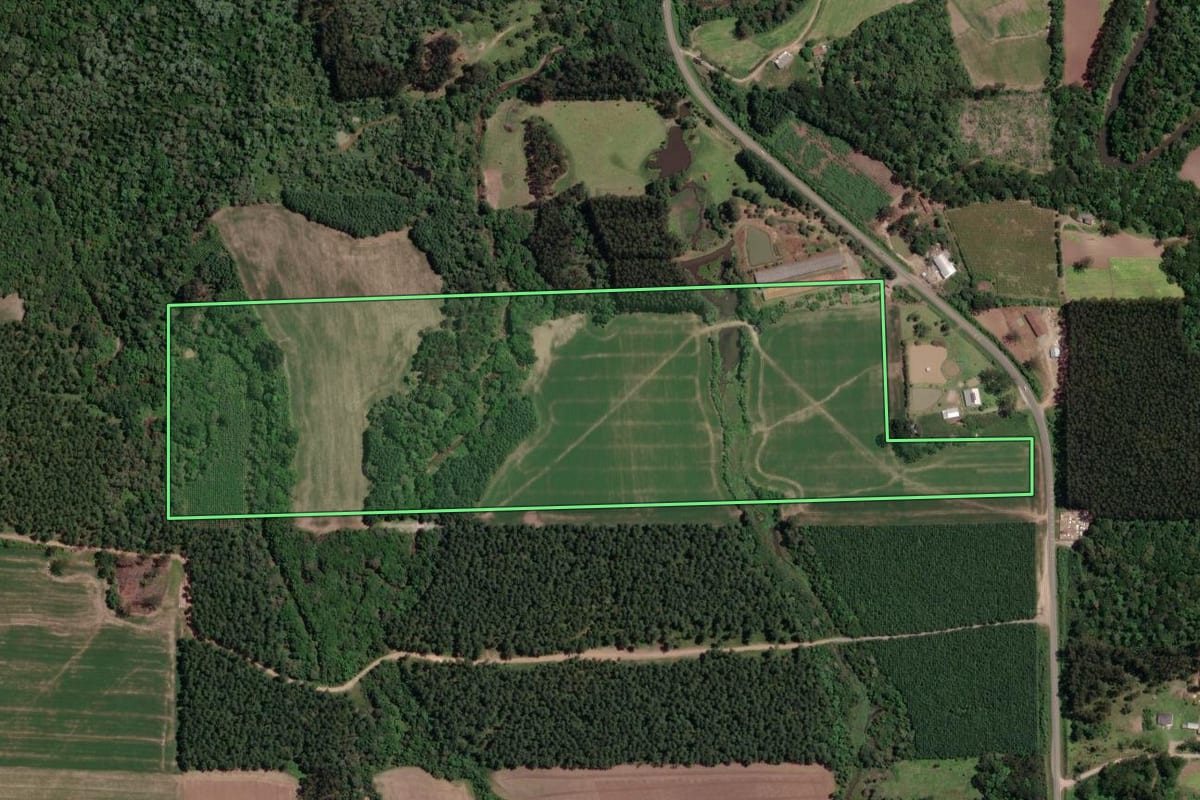 Imagem de satélite do imóvel rural em Mallet (PR), com o contorno declarado no CAR desenhado por cima.