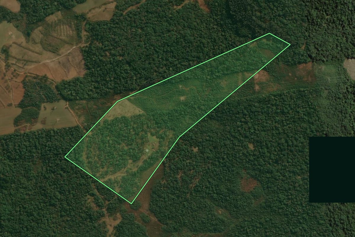 Imagem de satélite do imóvel rural em Mallet (PR), com o contorno declarado no CAR desenhado por cima.