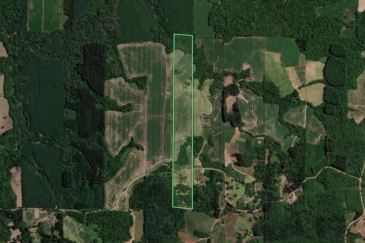 Imagem de satélite do imóvel rural em Mallet (PR), com o contorno declarado no CAR desenhado por cima.
