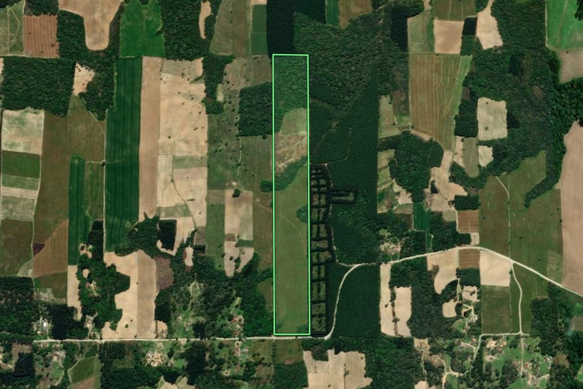 Imagem de satélite do imóvel rural em Mallet (PR), com o contorno declarado no CAR desenhado por cima.