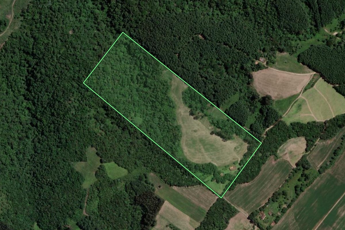 Imagem de satélite do imóvel rural em Mallet (PR), com o contorno declarado no CAR desenhado por cima.
