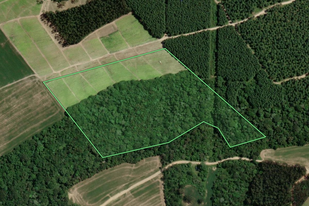 Imagem de satélite do imóvel rural em Mallet (PR), com o contorno declarado no CAR desenhado por cima.