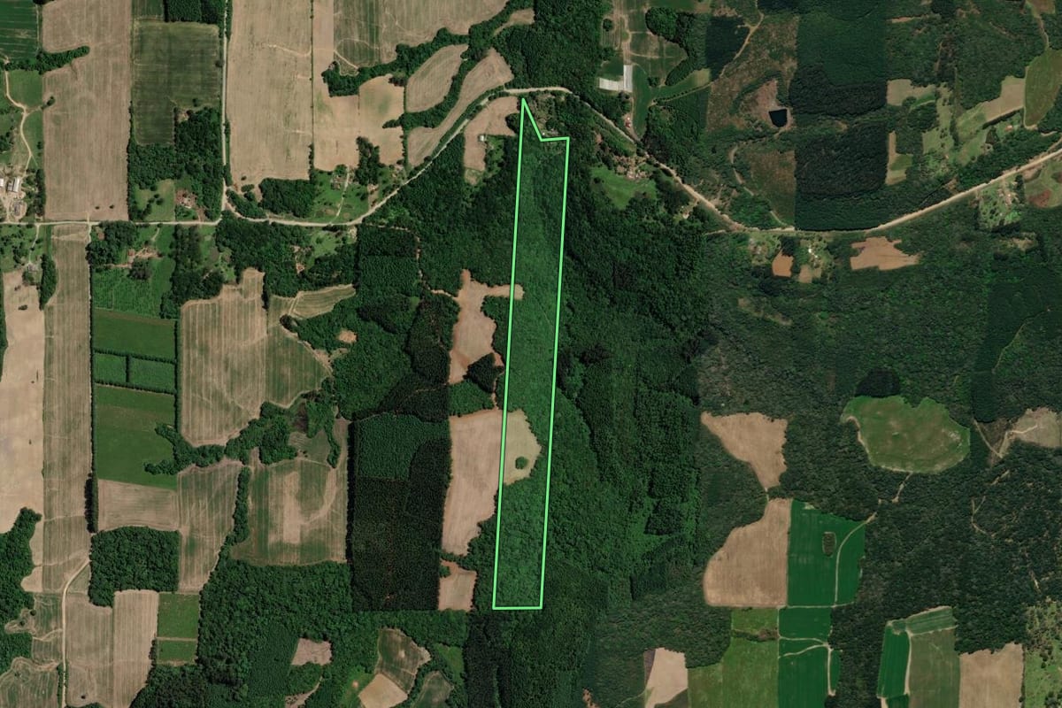 Imagem de satélite do imóvel rural em Mallet (PR), com o contorno declarado no CAR desenhado por cima.