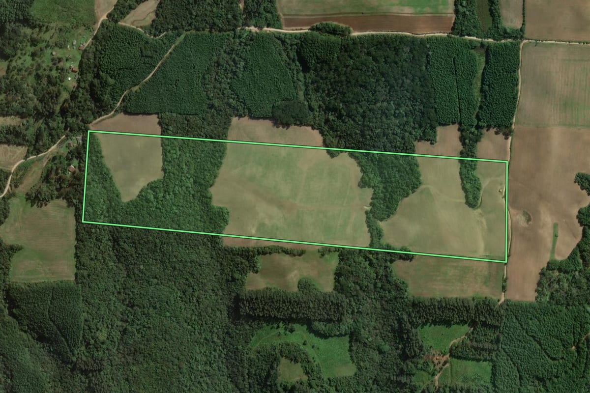 Imagem de satélite do imóvel rural em Mallet (PR), com o contorno declarado no CAR desenhado por cima.