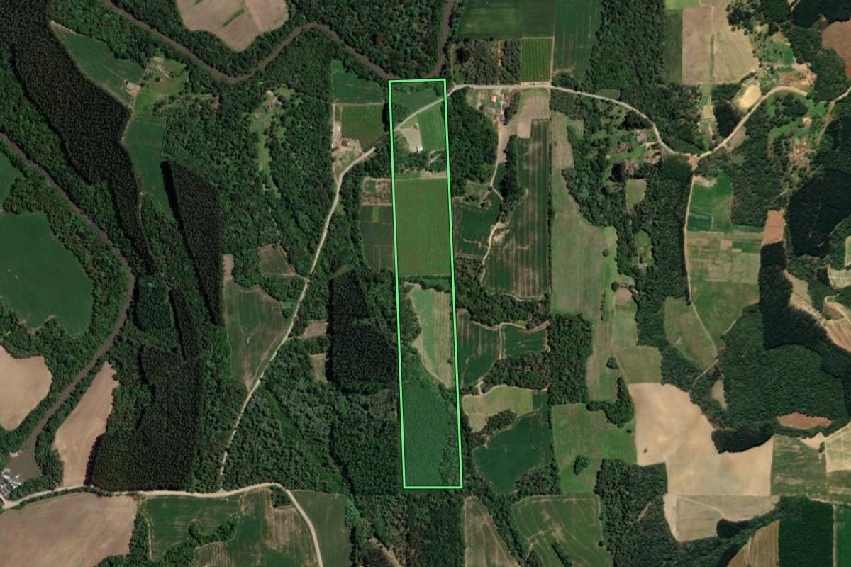 Imagem de satélite do imóvel rural em Mallet (PR), com o contorno declarado no CAR desenhado por cima.