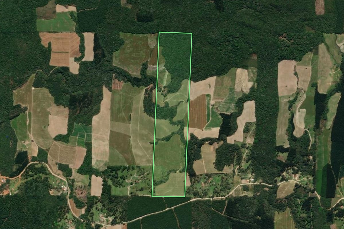 Imagem de satélite do imóvel rural em Mallet (PR), com o contorno declarado no CAR desenhado por cima.