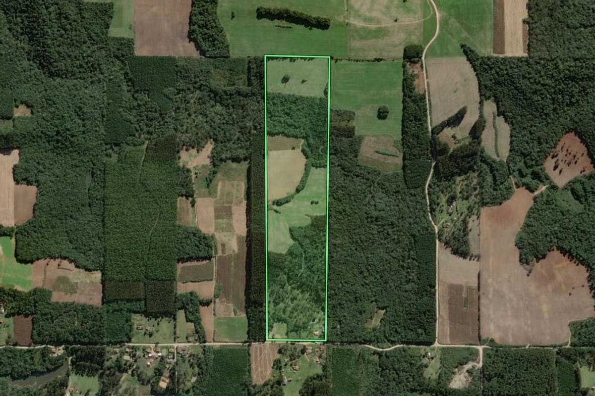 Imagem de satélite do imóvel rural em Mallet (PR), com o contorno declarado no CAR desenhado por cima.