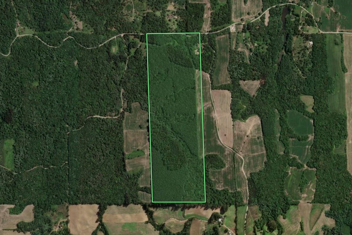 Imagem de satélite do imóvel rural em Mallet (PR), com o contorno declarado no CAR desenhado por cima.