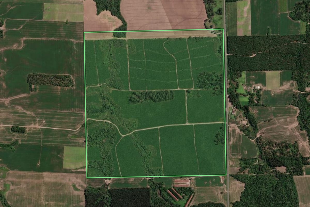 Imagem de satélite do imóvel rural em Mallet (PR), com o contorno declarado no CAR desenhado por cima.