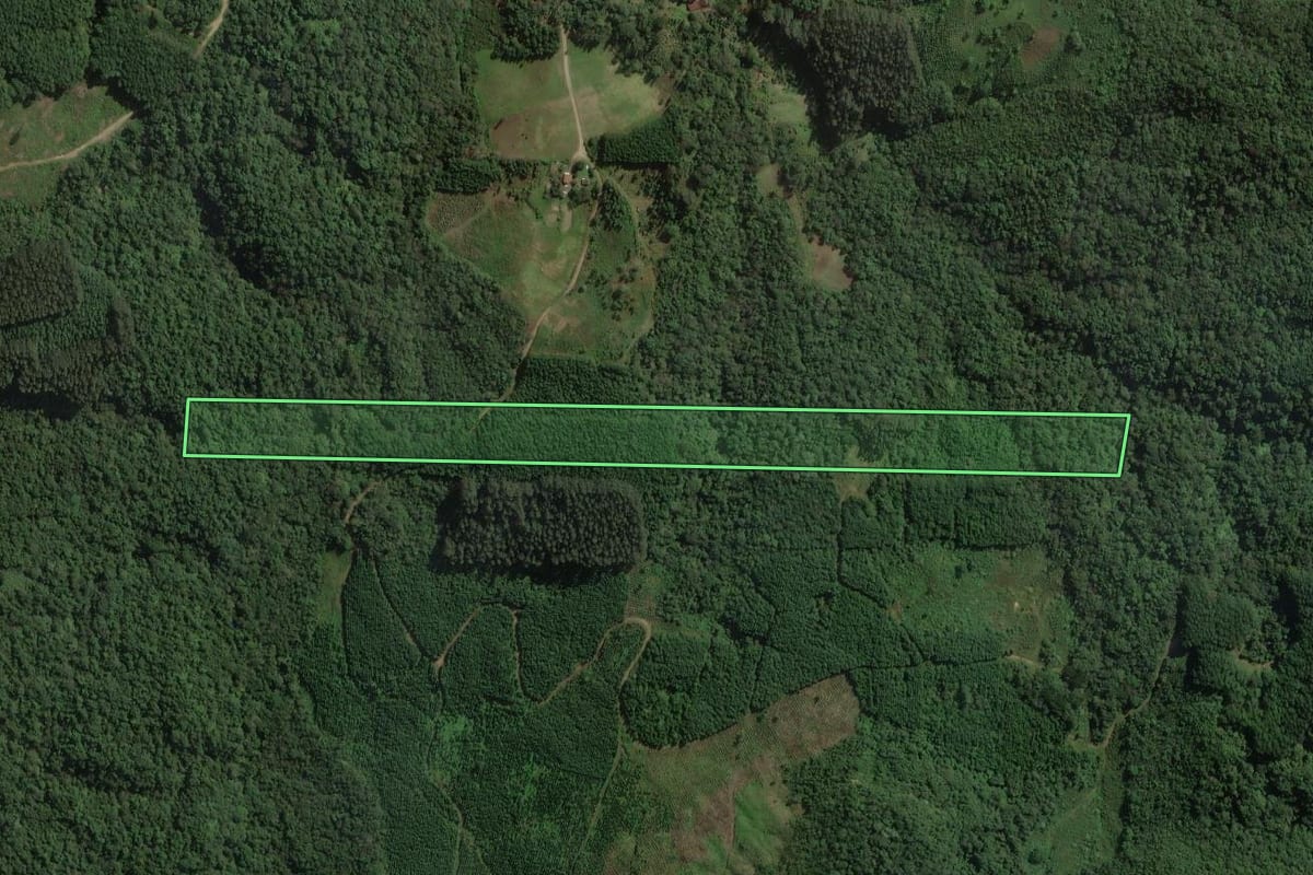 Imagem de satélite do imóvel rural em Mallet (PR), com o contorno declarado no CAR desenhado por cima.