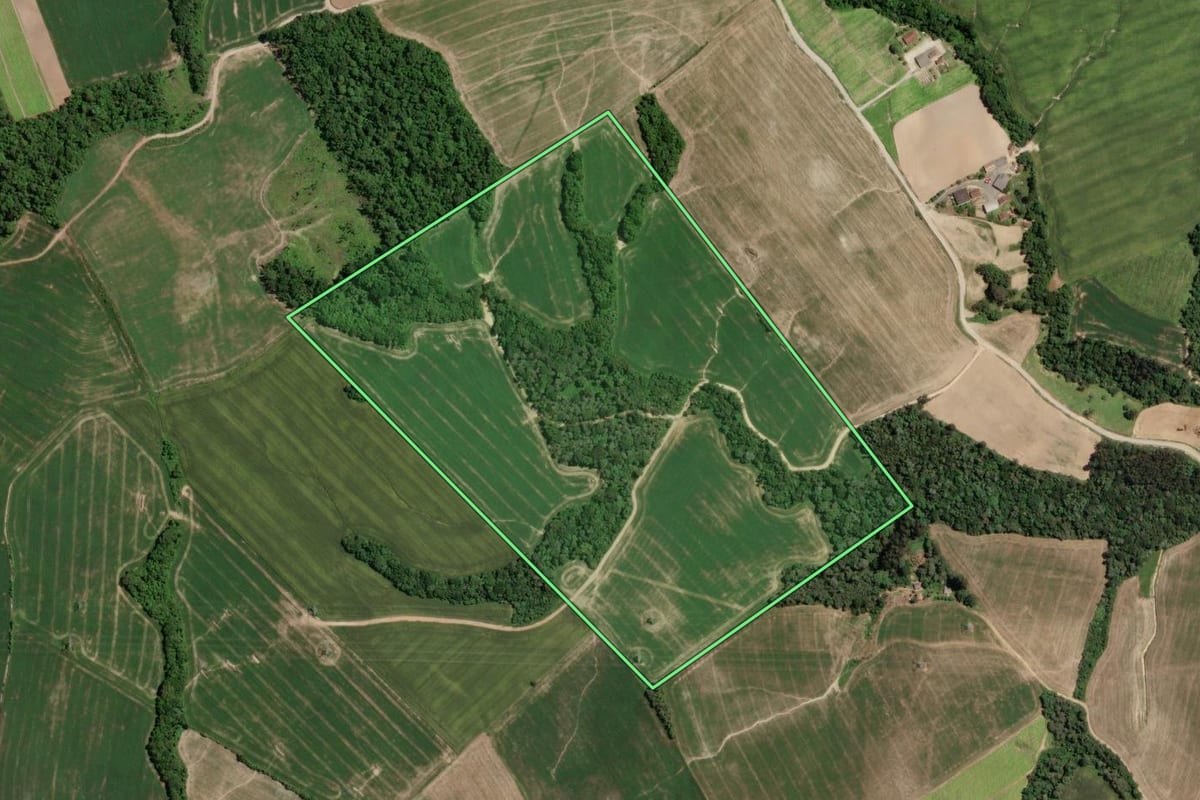 Imagem de satélite do imóvel rural em Mallet (PR), com o contorno declarado no CAR desenhado por cima.