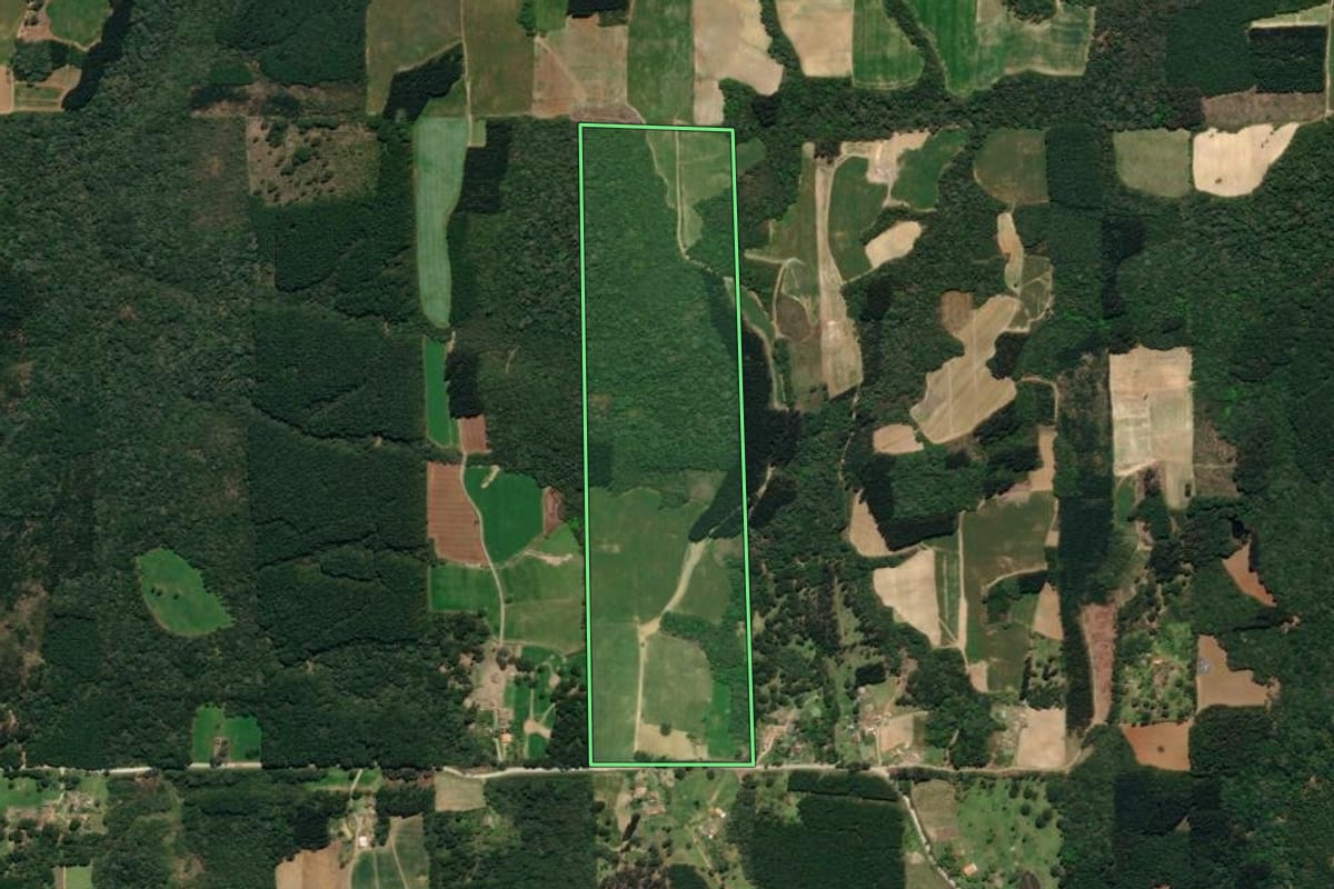 Imagem de satélite do imóvel rural em Mallet (PR), com o contorno declarado no CAR desenhado por cima.
