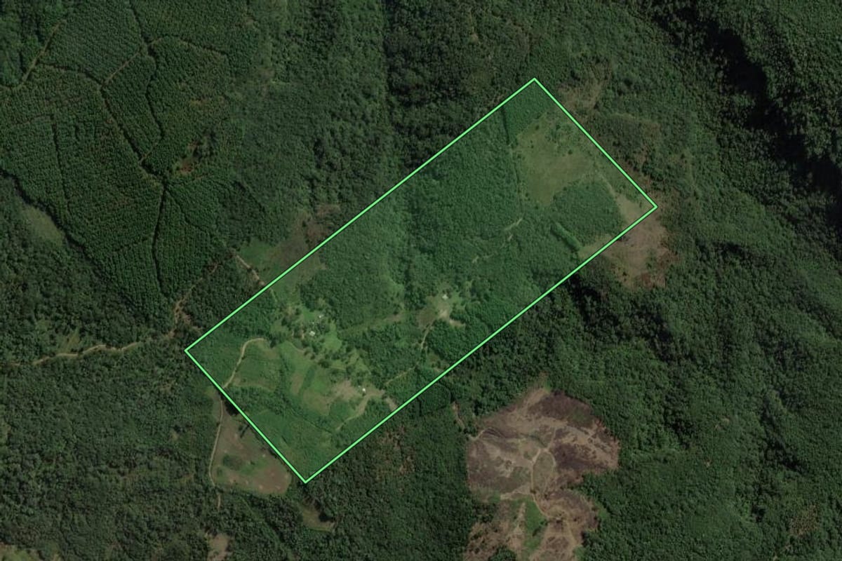 Imagem de satélite do imóvel rural em Mallet (PR), com o contorno declarado no CAR desenhado por cima.