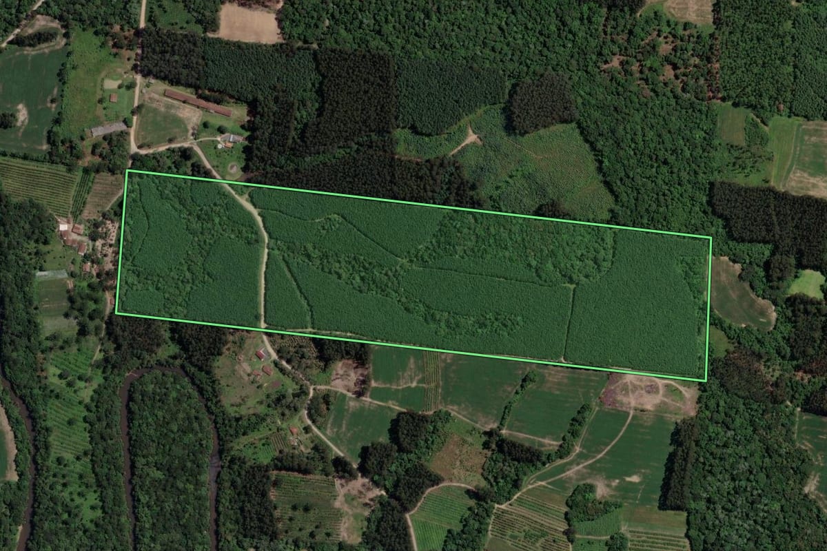 Imagem de satélite do imóvel rural em Mallet (PR), com o contorno declarado no CAR desenhado por cima.