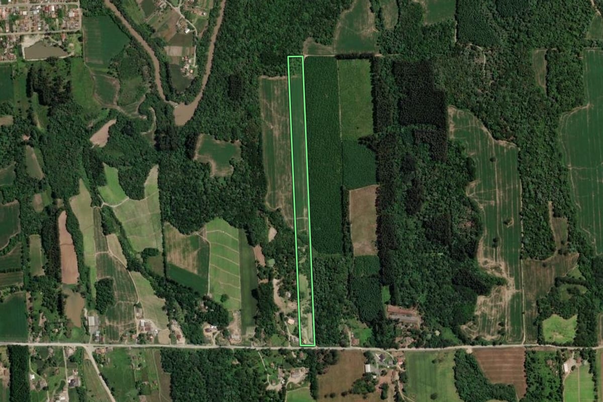 Imagem de satélite do imóvel rural em Mallet (PR), com o contorno declarado no CAR desenhado por cima.