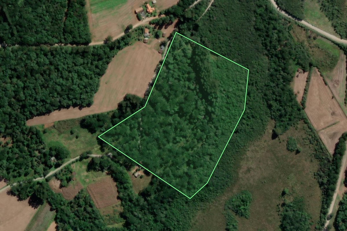 Imagem de satélite do imóvel rural em Mallet (PR), com o contorno declarado no CAR desenhado por cima.