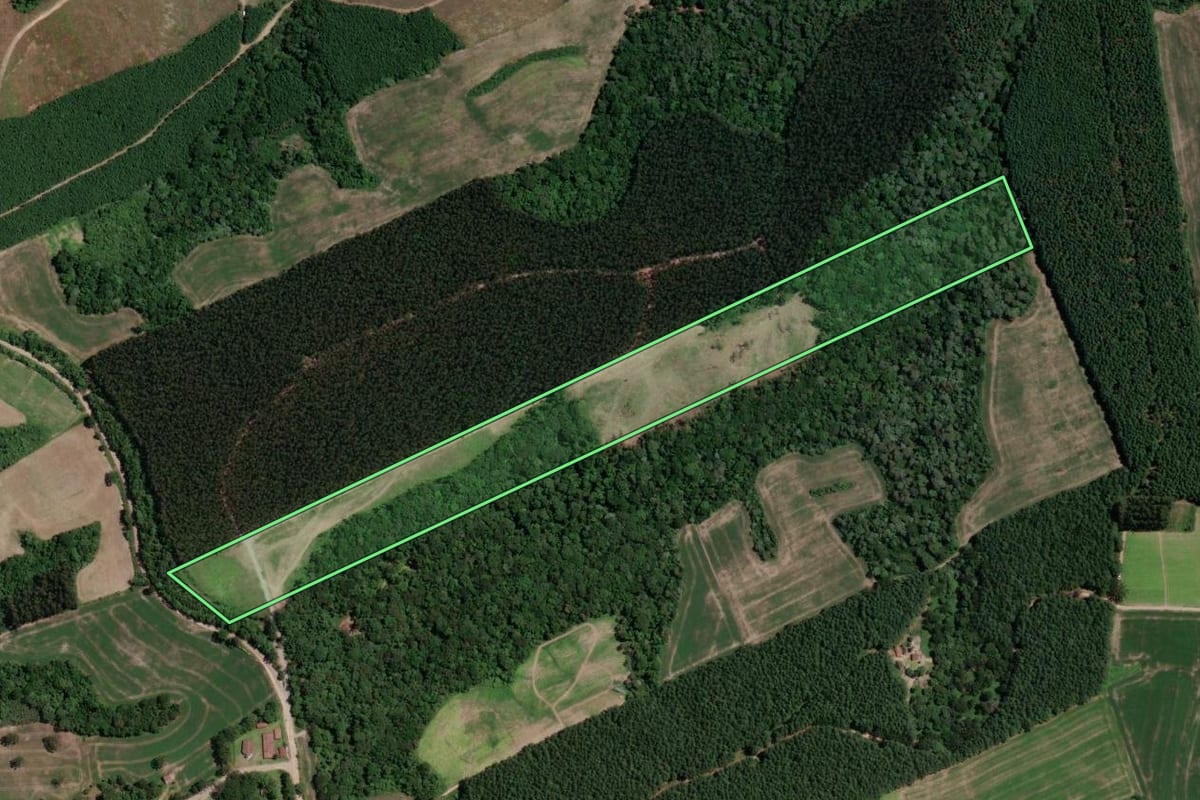 Imagem de satélite do imóvel rural em Mallet (PR), com o contorno declarado no CAR desenhado por cima.