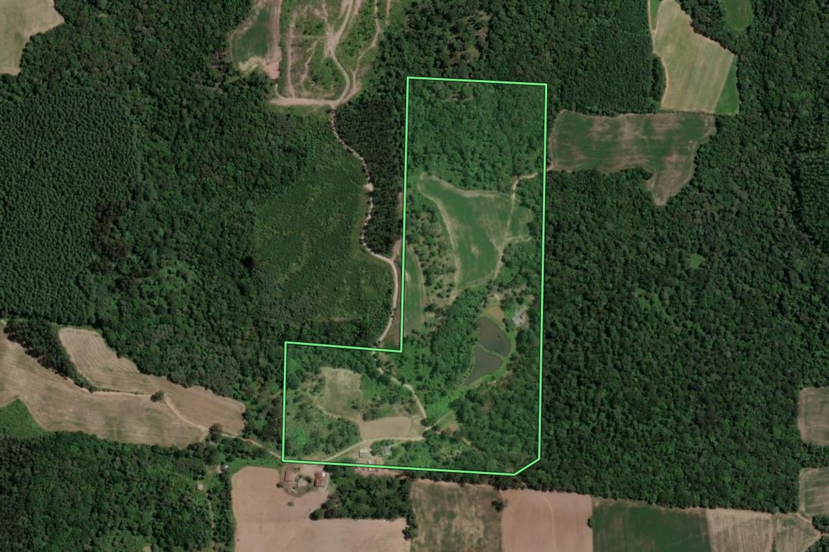 Imagem de satélite do imóvel rural em Mallet (PR), com o contorno declarado no CAR desenhado por cima.