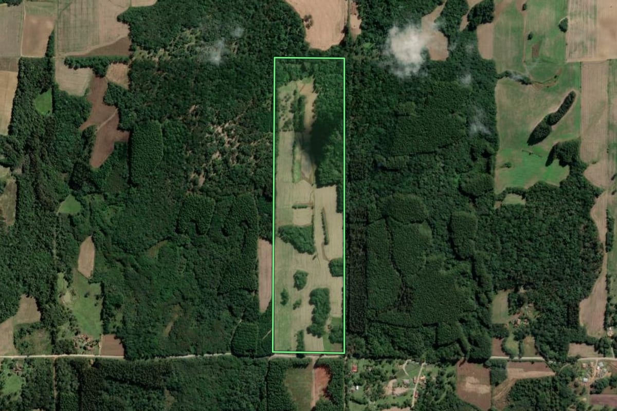 Imagem de satélite do imóvel rural em Mallet (PR), com o contorno declarado no CAR desenhado por cima.