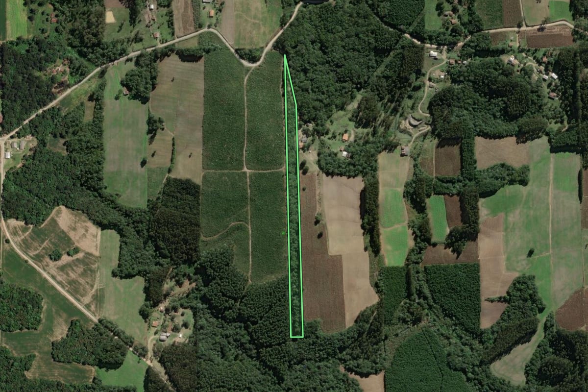Imagem de satélite do imóvel rural em Mallet (PR), com o contorno declarado no CAR desenhado por cima.