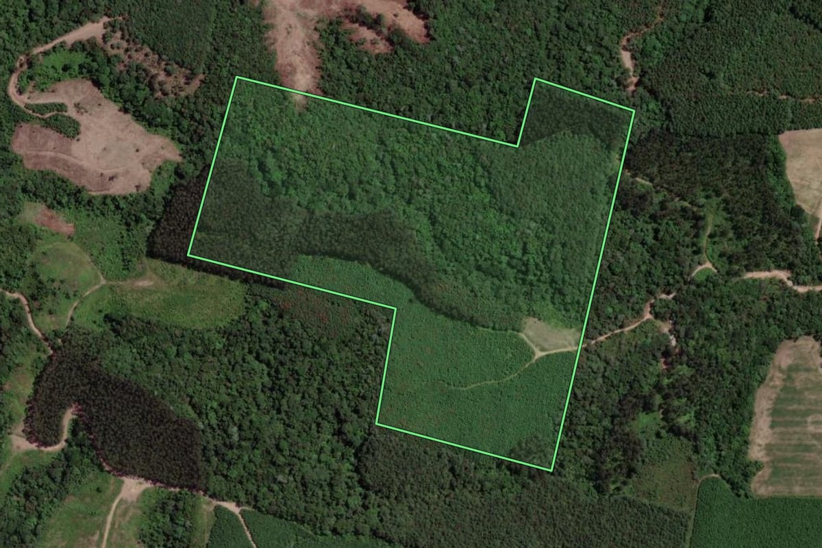 Imagem de satélite do imóvel rural em Mallet (PR), com o contorno declarado no CAR desenhado por cima.