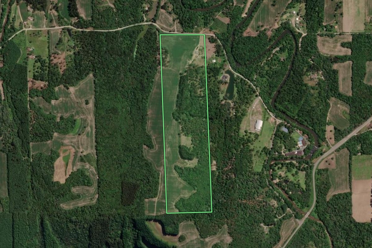 Imagem de satélite do imóvel rural em Mallet (PR), com o contorno declarado no CAR desenhado por cima.