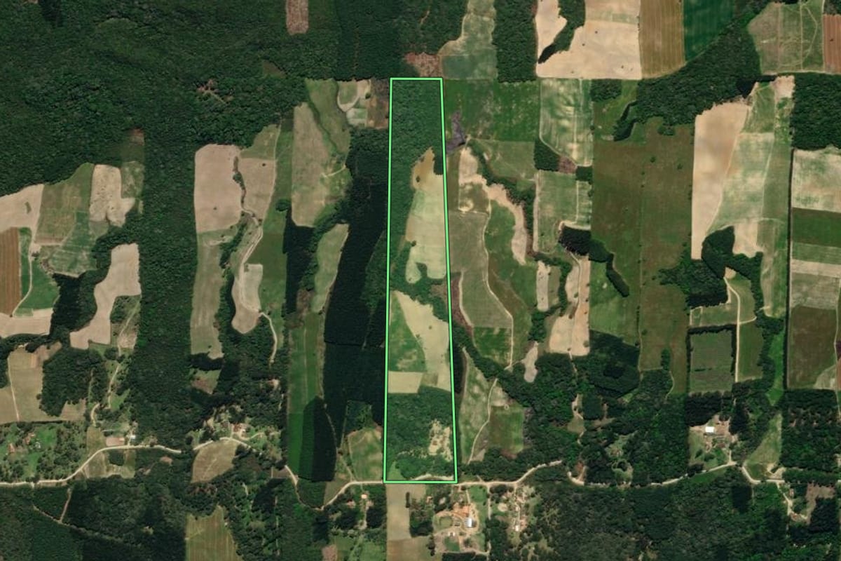 Imagem de satélite do imóvel rural em Mallet (PR), com o contorno declarado no CAR desenhado por cima.