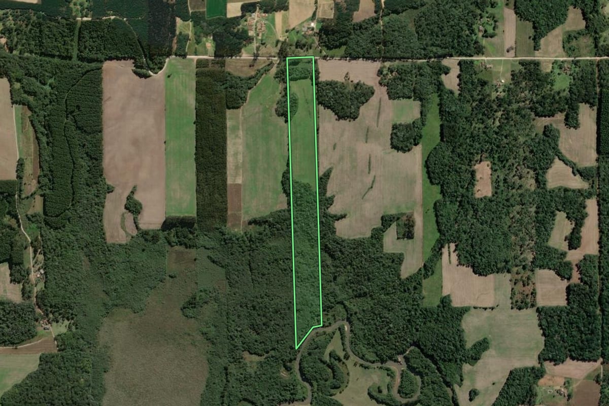 Imagem de satélite do imóvel rural em Mallet (PR), com o contorno declarado no CAR desenhado por cima.
