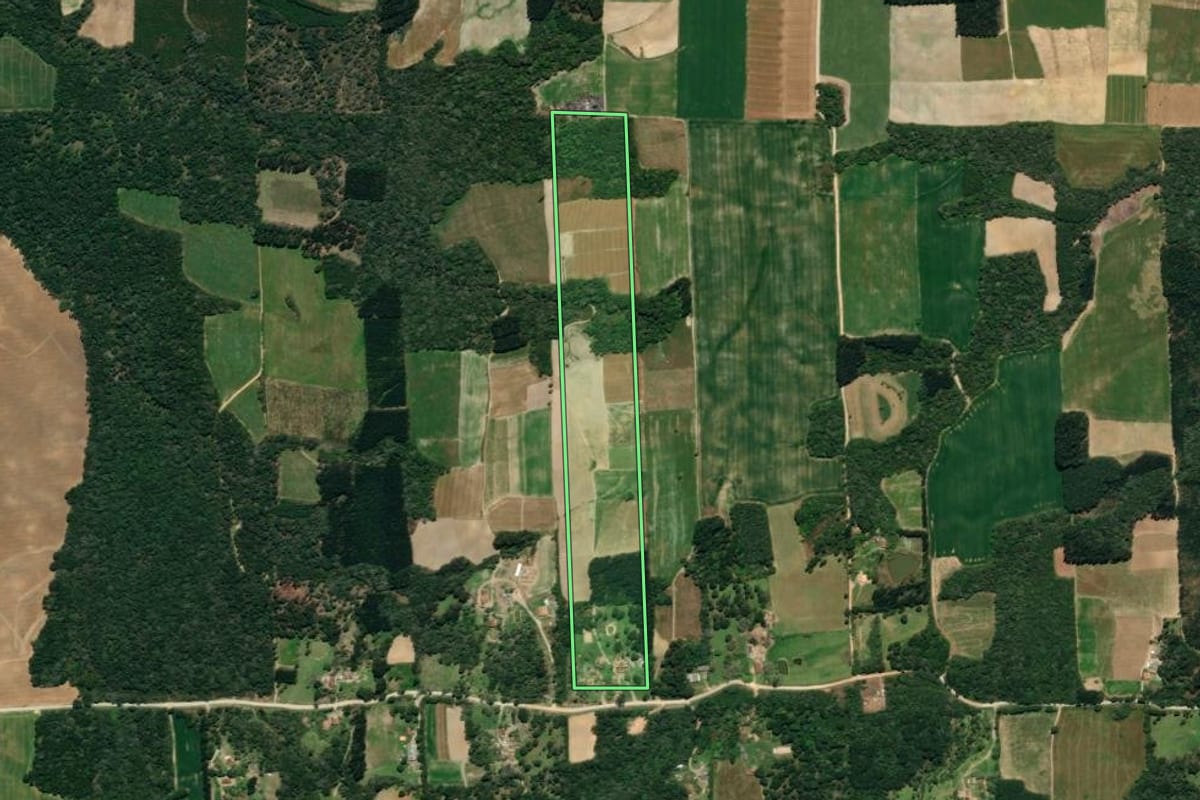 Imagem de satélite do imóvel rural em Mallet (PR), com o contorno declarado no CAR desenhado por cima.